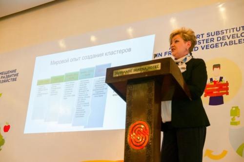 Конференция Импортозамещение и кластерное развитие в сельском хозяйстве. Душанбе. 4-5 декабря 2018 г.